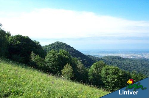 Mladesjena dalla Zelenica