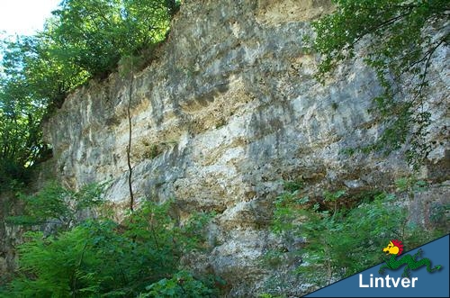 Palestra di roccia