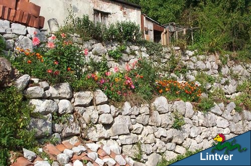 Muretto con fiori