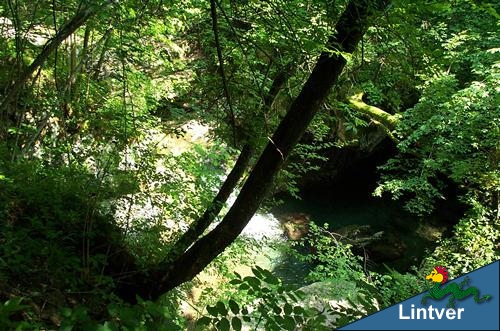 Dal sentiero s'intravvede il torrente