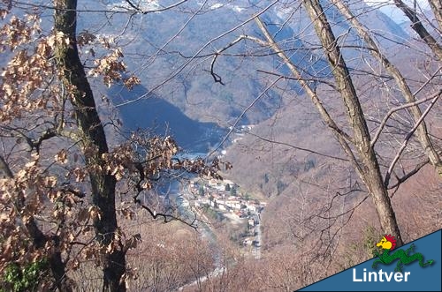 Colori invernali